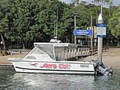 IMG_1084.jpg